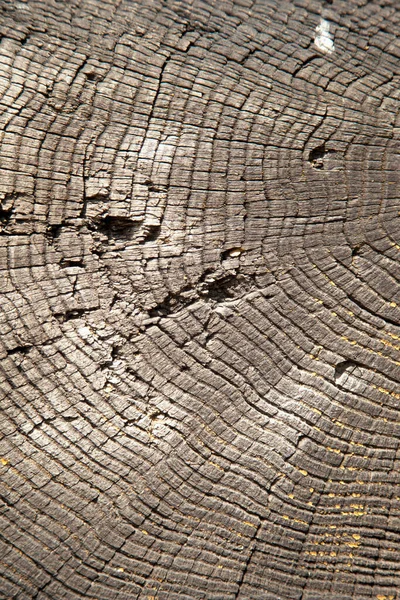 Zamknij Stare Piękne Tło Tekstury Drewna Projektowania Tekstu — Zdjęcie stockowe