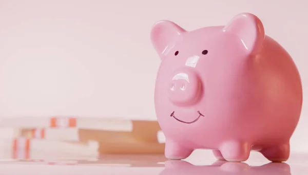 粉红储蓄罐相对于金钱的反冲 是利润和成功的象征 横向图像 — 图库照片