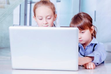 İş ve iş kavramı. Ofiste çalışan iki sevimli iş kızının portresi..