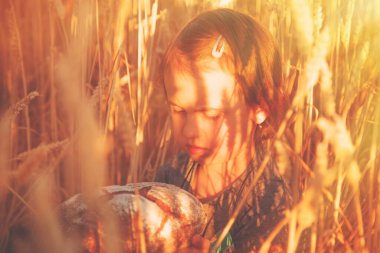 Tarımın ve doğal gıdanın sembolü olarak buğday tarlasında ekmeği olan sevimli bir kızın komik portresi. Seçici odaklanma. Yatay resim.