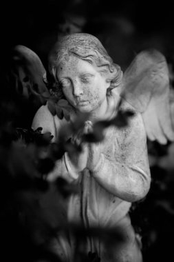 Üzgün melek. Ağza alınmaz bir hüzün ve ölümün sembolü olarak tatlı bir ifadeyle antik taş heykel. Siyah ve beyaz resim.