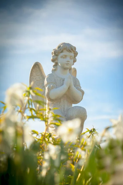 Ancient Statue Angel Flower Sky Background — Stock Photo, Image