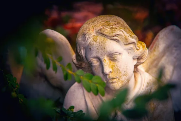 Tristes Ojos Ángel Antigua Estatua Piedra Muerte Dolor Concepto Fin —  Fotos de Stock