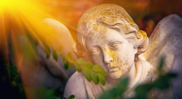 太陽の下で天使の悲しい目 古代の石造像 人生の概念の終わり — ストック写真