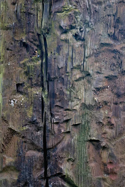 Güzel Yaşlı Kirli Ağacın Arka Planı Tasarım Metin Için Alan — Stok fotoğraf