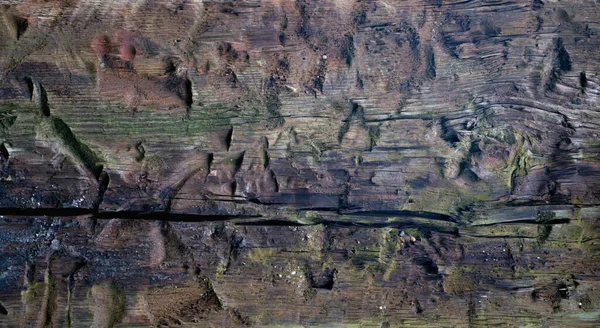 Παλιά Υφή Ξύλου Δέντρων Ελεύθερος Χώρος Αντιγραφής Οριζόντια Εικόνα — Φωτογραφία Αρχείου
