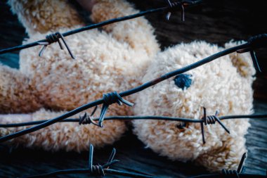 Lost childhood, loneliness and pain concept. Close up dirty old toy teddy bear behind barbed wire.  clipart