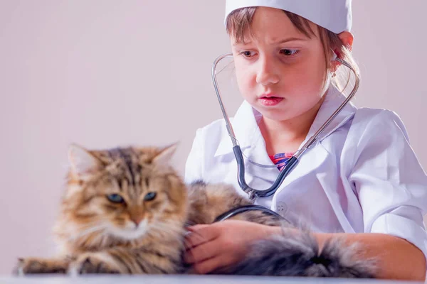Güzel Bayan Veteriner Hayvan Hastanesinde Bir Kedi Yavrusunu Muayene Ediyor — Stok fotoğraf