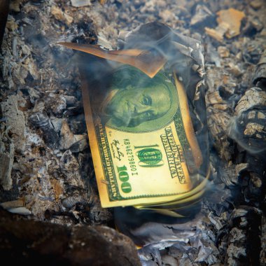 Enflasyon ve küresel mali krizin simgesi olarak Amerikan Doları banknotlarının yakılması.