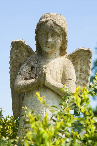 Zblízka Modlící Anděl Modré Obloze Starověká Socha — Stock fotografie