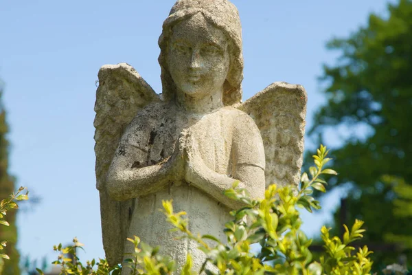Древняя Каменная Статуя Ангела Хранителя Молитвы Горизонтальное Изображение — стоковое фото
