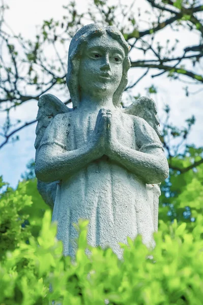 Angelo Della Preghiera Antica Statua Pietra Immagine Verticale — Foto Stock