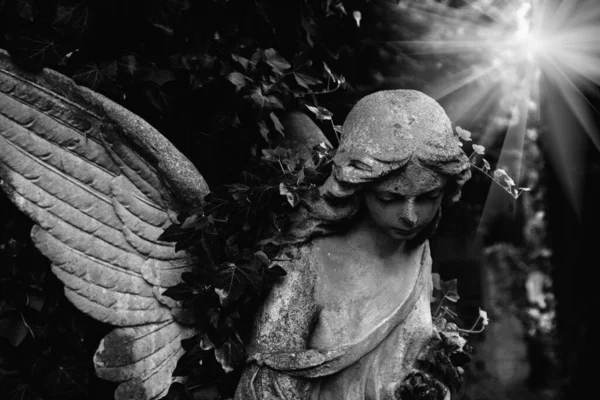 太陽光線の死の天使の古代の石造りの像 白黒の画像 — ストック写真