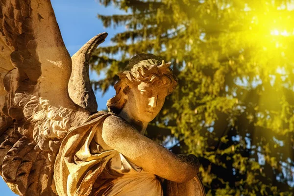 Güneş Işığındaki Melek Antik Bir Heykelin Parçası — Stok fotoğraf