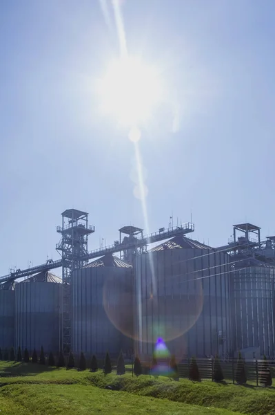 Kornspeicher Eine Große Moderne Landwirtschaftliche Verarbeitungsanlage Für Die Lagerung Und — Stockfoto