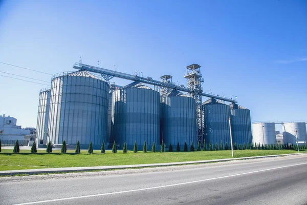 Celeiro Moderna Planta Agroprocessamento Para Armazenamento Processamento Grãos Grandes Barris — Fotografia de Stock