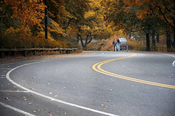 Passeggiate Carrozza Attraverso Colori Autunnali New York City Central Park — Foto Stock