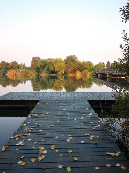 平静的河水在美丽的日出 绿色自然的景观 宁静的早晨 — 图库照片