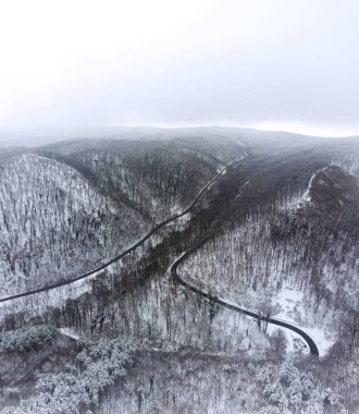 Kış dağ orman hava atış, Woods kar ve sis kaplı. Soğuk Ocak sabah.