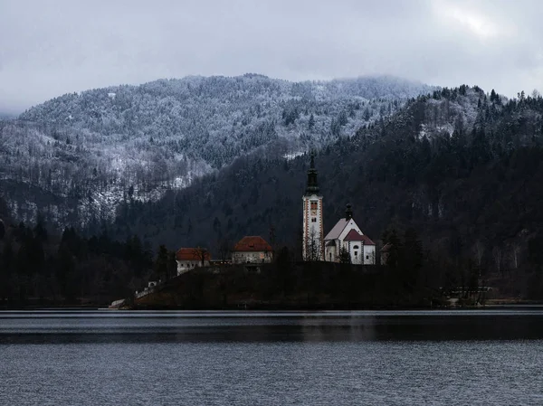 Matin d'hiver dans le magnifique parc national du lac de Bled Slovénie — Photo