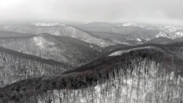 Neve Caindo Nas Montanhas Voo Acima Floresta Inverno — Vídeo de Stock