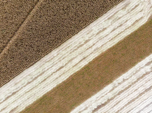 Flygfoto Rader Jorden Innan Plantering Grödor Gård Mönster Ett Upplöjd — Stockfoto