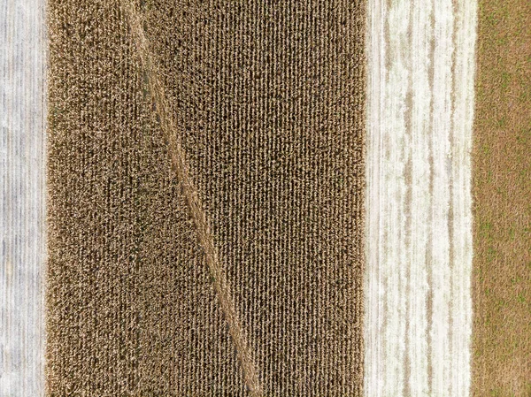 Εναέρια Άποψη Σειρές Από Χώμα Πρίν Φυτεύει Καλλιέργειες Αγρόκτημα Μοτίβο — Φωτογραφία Αρχείου