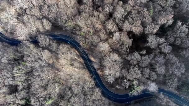 Aerial View Curved Winding Road Cars Passing — Stock Video