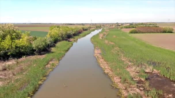 Vliegen Boven Rivier Jegricka Het Natuur Park Lente Vojvodina Servië — Stockvideo