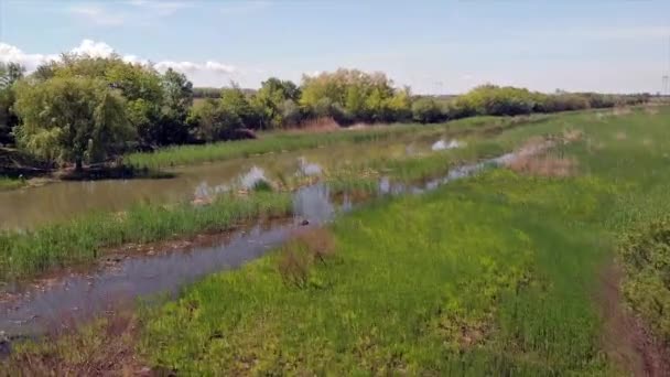 在春天的时候 塞尔维亚 在耶格里卡河和自然公园上空飞行 河流被绿树成荫 农田被耕种 — 图库视频影像