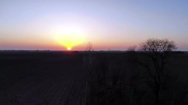 Abandoned Ranch Spring Sunset Agricultural Fields Vojvodina Landscape — Stock Video