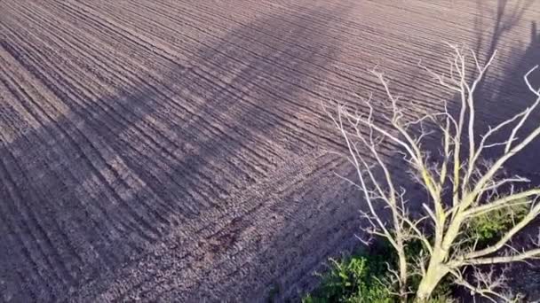 Fazenda Abandonada Pôr Sol Primavera Campos Agrícolas Paisagem Vojvodina — Vídeo de Stock