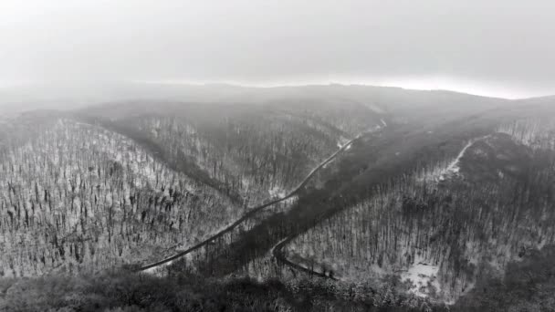 Neve Caindo Nas Montanhas Voo Acima Floresta Inverno — Vídeo de Stock