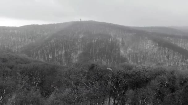 Śnieg Pada Górach Lot Nad Lasu Okresie Zimowym — Wideo stockowe