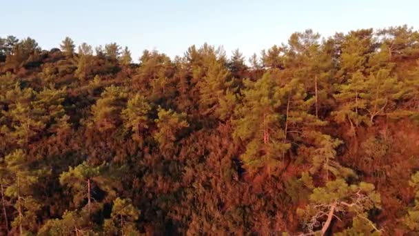 Aerial Drone Shot Hill Forest Upplyst Morning Sun — Stockvideo