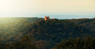 Yeşil orman, tepedeki eski ortaçağ kale kulesi. Doğa detayları, orman geçmişi.