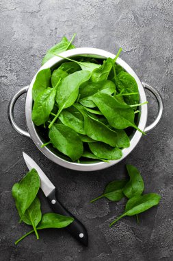 Ispanak. Taze ıspanak yaprakları