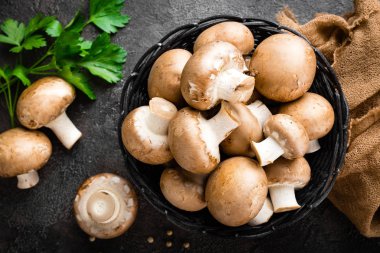 Mantar. Taze mantar sepeti