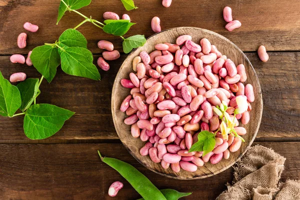 Red Kidney Beans Haricot Bean — Stock Photo, Image