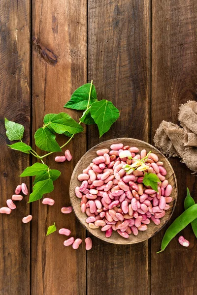 Red Kidney Beans Haricot Bean — Stock Photo, Image