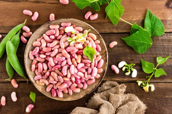 Red Kidney Beans Haricot Bean — Stock Photo, Image