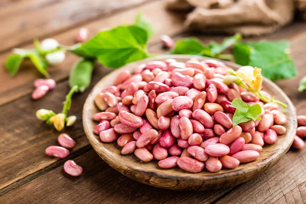 Red Kidney Beans Haricot Bean — Stock Photo, Image