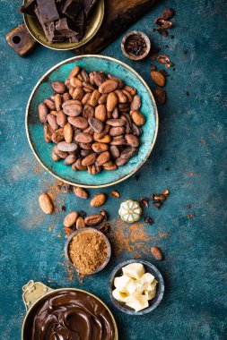 Kakao. Kakao çekirdekleri, karanlık bitter çikolata parçaları, kakao yağı ve kakao tozu. Kakao arka plan