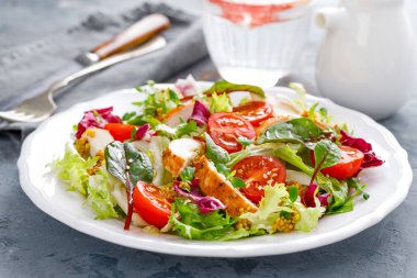 Izgara tavuk etli taze sebze salatası