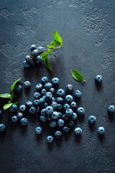 Siyah arka planda yaprakları ile yaban mersini, üst görünüm