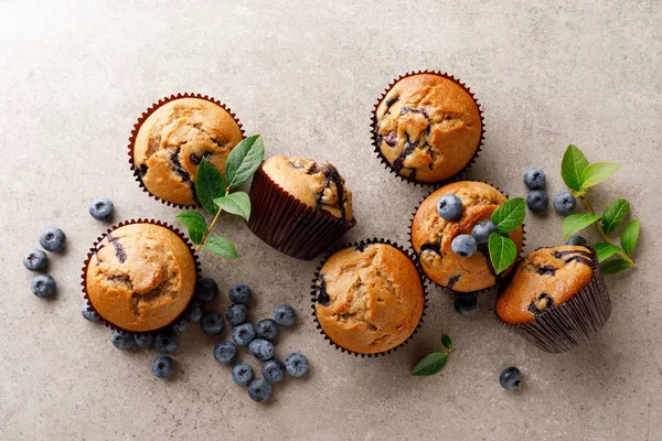 Borůvkové Muffiny Čerstvými Plody Pohled Shora — Stock fotografie