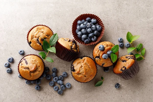 Blåbärsmuffins Med Färska Bär Topputsikt — Stockfoto