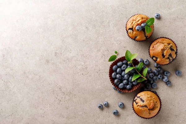 Muffins Arándanos Con Bayas Frescas Vista Superior — Foto de Stock