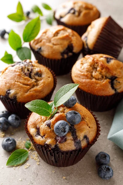 Muffin Blueberry Dengan Buah Berry Segar — Stok Foto