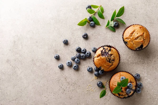 Muffins Arándanos Con Bayas Frescas Vista Superior — Foto de Stock